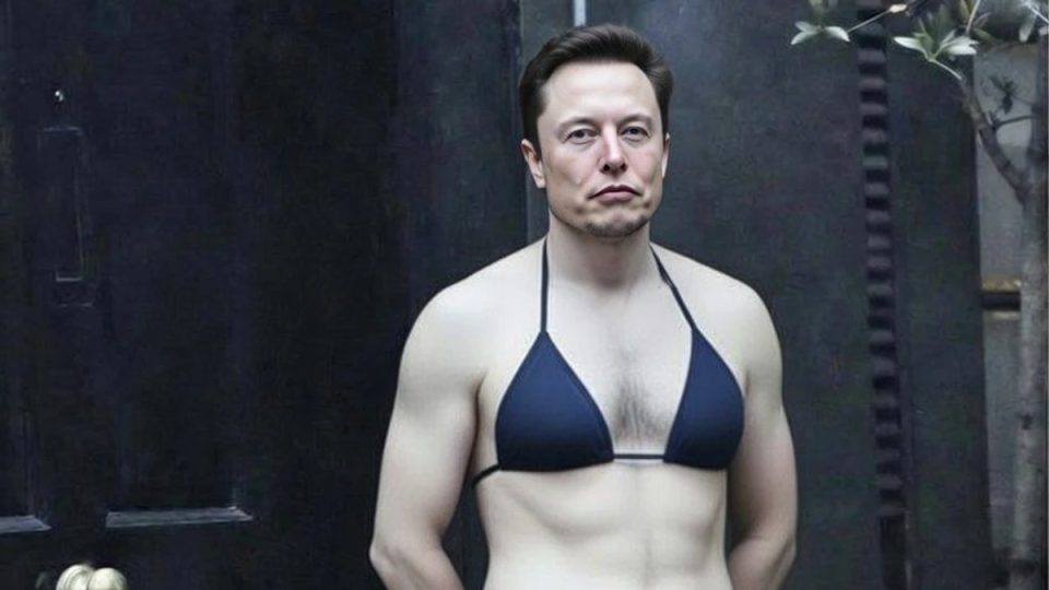 Imagem gerada por IA de Ellon Musk trajando biquini