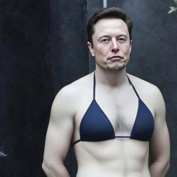 Imagem gerada por IA de Ellon Musk trajando biquini